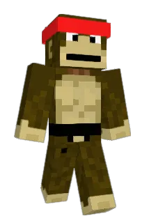 howardlax7 Minecraft avatar full body