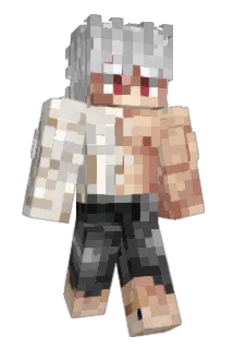 howl6 Minecraft avatar full body