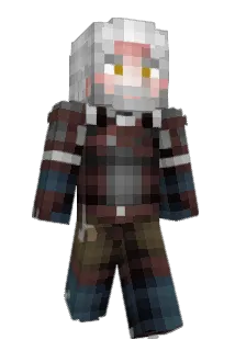 hp5b Minecraft avatar full body