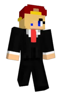 hpf_br Minecraft avatar full body