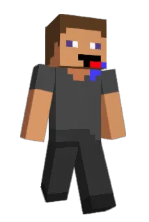 hpmid Minecraft avatar full body