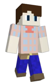 hqmqh Minecraft avatar full body