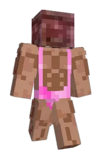 hquid520 Minecraft avatar full body