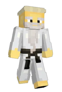 hqus Minecraft avatar full body