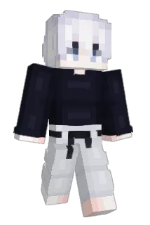 hsq Minecraft avatar full body