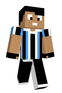 hsrpz Minecraft avatar full body