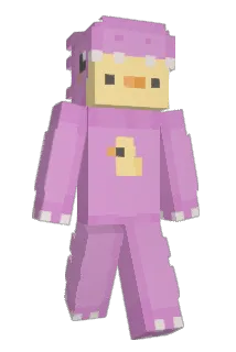 hst0218 Minecraft avatar full body