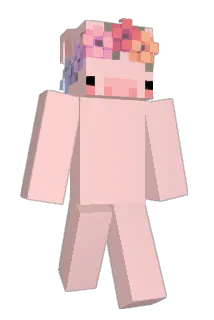 hsyoon_ Minecraft avatar full body