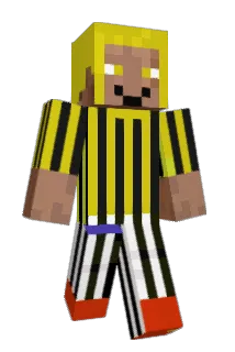 ht4224 Minecraft avatar full body