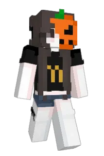 htfth Minecraft avatar full body