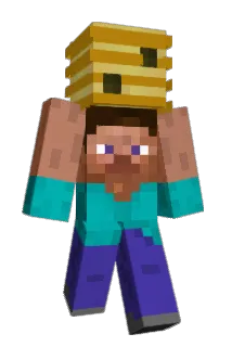 htj051106 Minecraft avatar full body