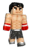 htran2 Minecraft avatar full body