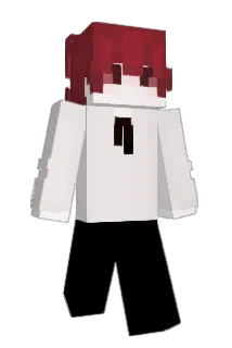 hu_er_ Minecraft avatar full body