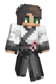 hubssi Minecraft avatar full body