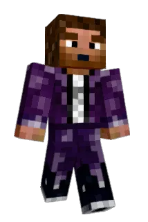 hudpolo Minecraft avatar full body