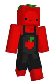 hugered Minecraft avatar full body
