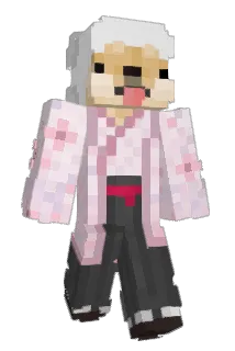 huinSeolgi Minecraft avatar full body