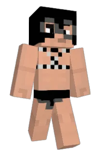 humcik Minecraft avatar full body