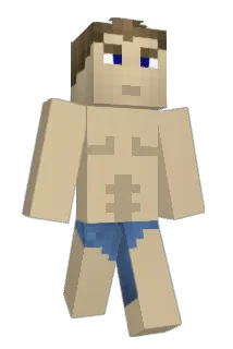 hungjan Minecraft avatar full body