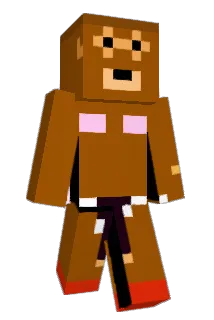 hunkyflyer Minecraft avatar full body