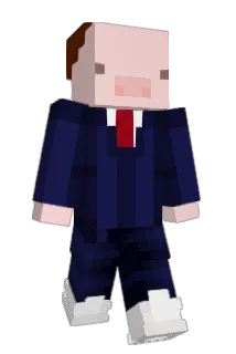 hutdoug Minecraft avatar full body