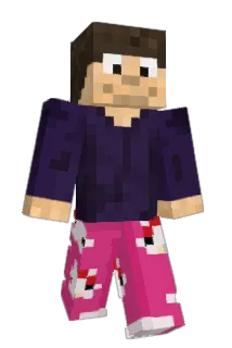 hvbi Minecraft avatar full body