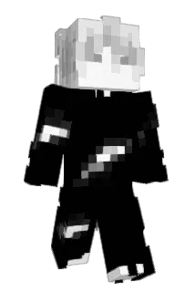 hveq Minecraft avatar full body