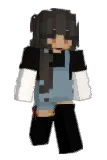 hvlly Minecraft avatar full body