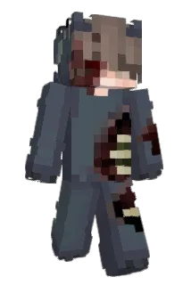 hvx2000 Minecraft avatar full body