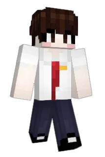 hwang2011 Minecraft avatar full body