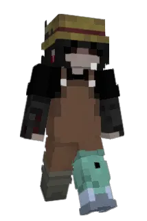 hwrds Minecraft avatar full body