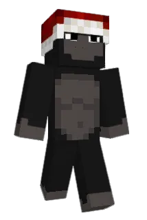 hxliqm Minecraft avatar full body