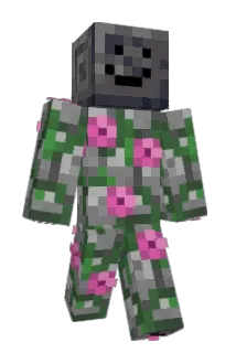 hyalobasalt Minecraft avatar full body