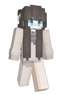 hym1213 Minecraft avatar full body