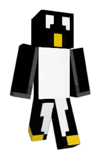 hyungdoni Minecraft avatar full body