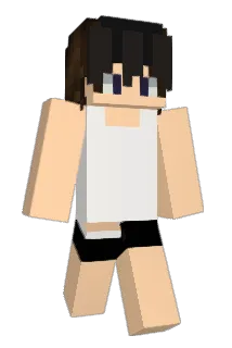 hyunsu12 Minecraft avatar full body
