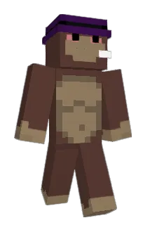 hznxg Minecraft avatar full body