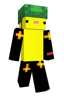 hzsa Minecraft avatar full body