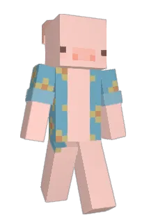 hzykk Minecraft avatar full body