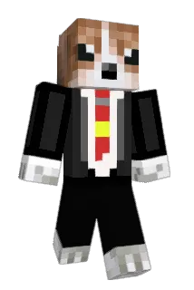 i0N__ Minecraft avatar full body