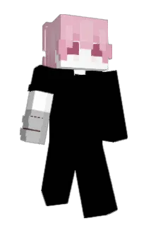 i4it Minecraft avatar full body