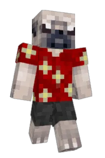 i4ry Minecraft avatar full body