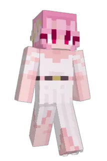 iD999 Minecraft avatar full body