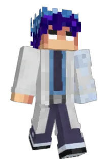 iDigitaL Minecraft avatar full body