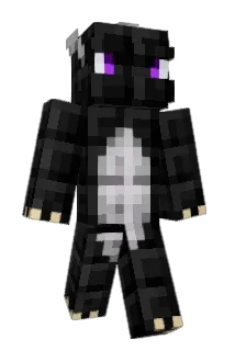 iDragon14 Minecraft avatar full body