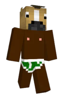 iNardinho Minecraft avatar full body