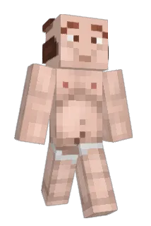 iPckle Minecraft avatar full body