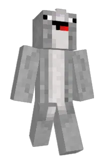 iPolaroid Minecraft avatar full body