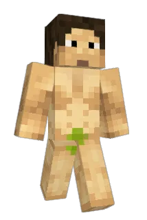 iSnG76 Minecraft avatar full body