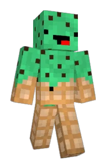 iSquirtleTurtle_ Minecraft avatar full body